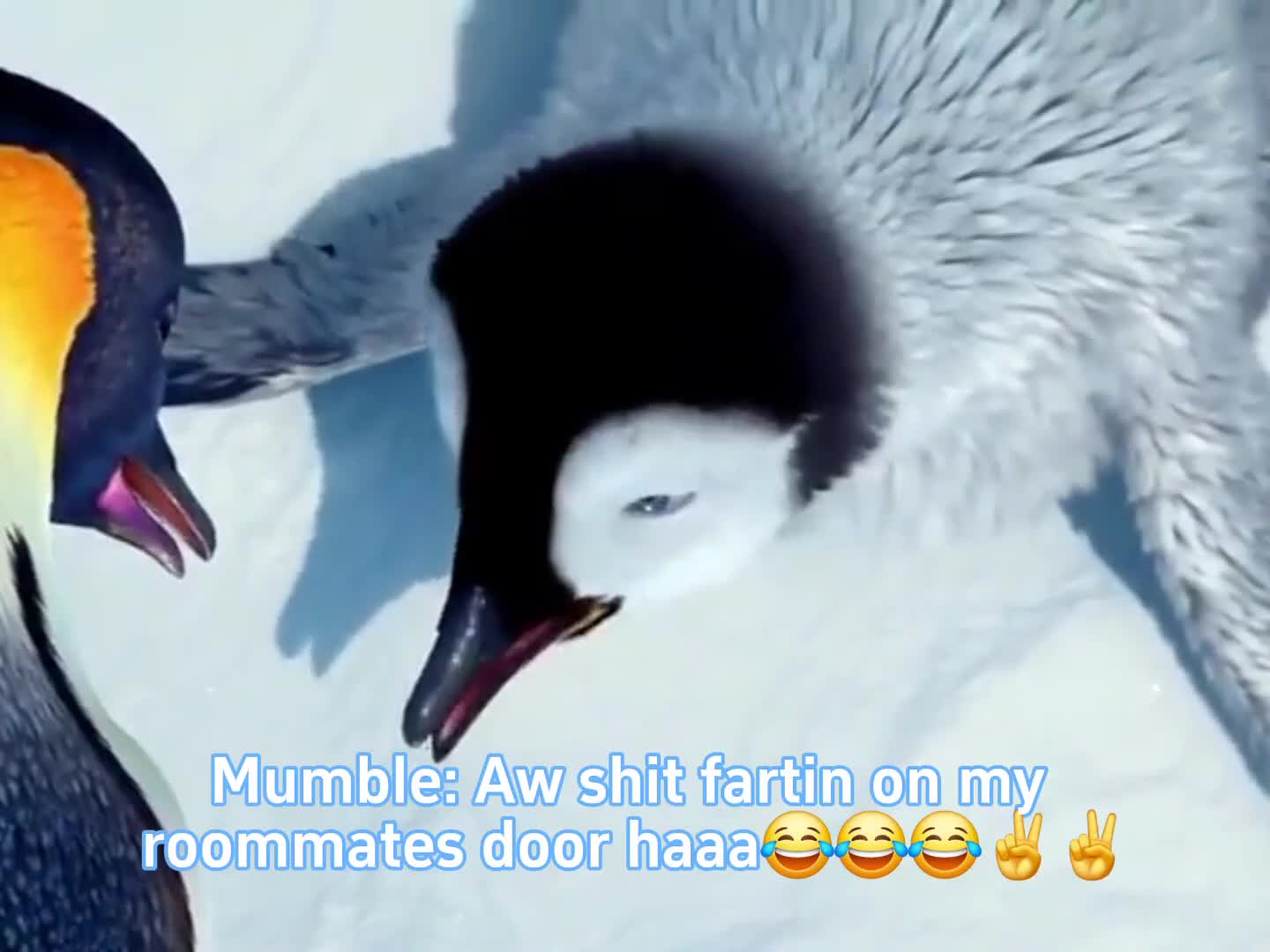 @Mumble but ๐ฏ๐ป๐ฎ๐ช๐ด๐