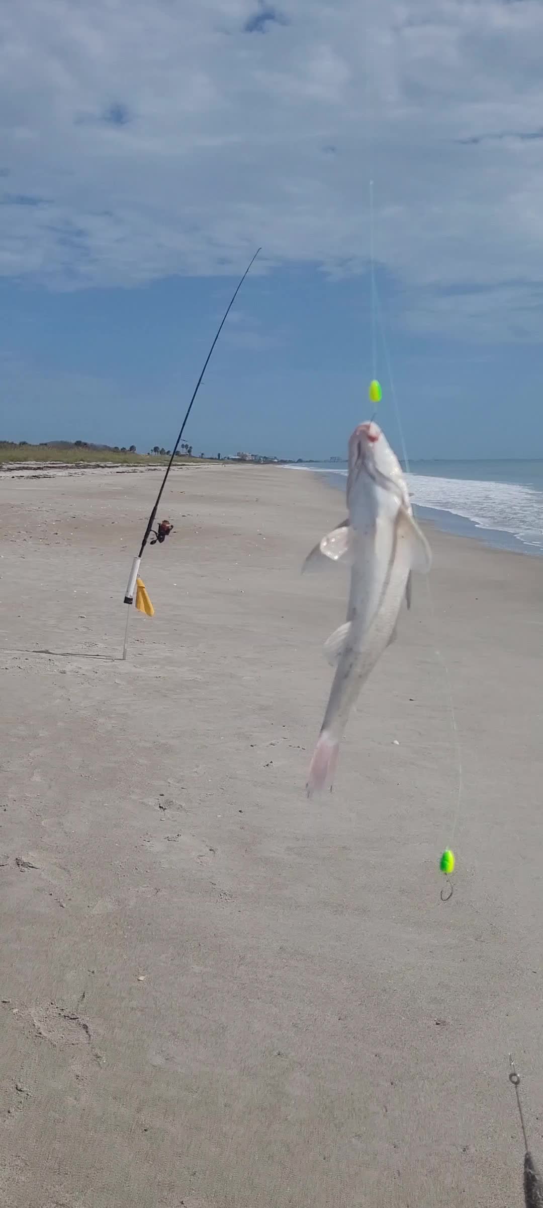 @Ghost of Space Coast Fishing