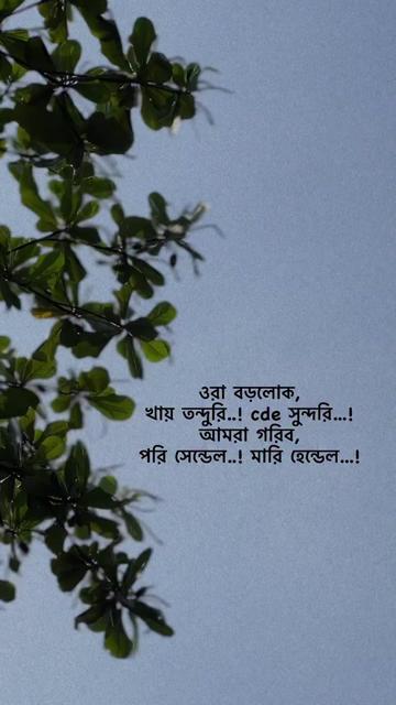 @Maruf billah 🌱