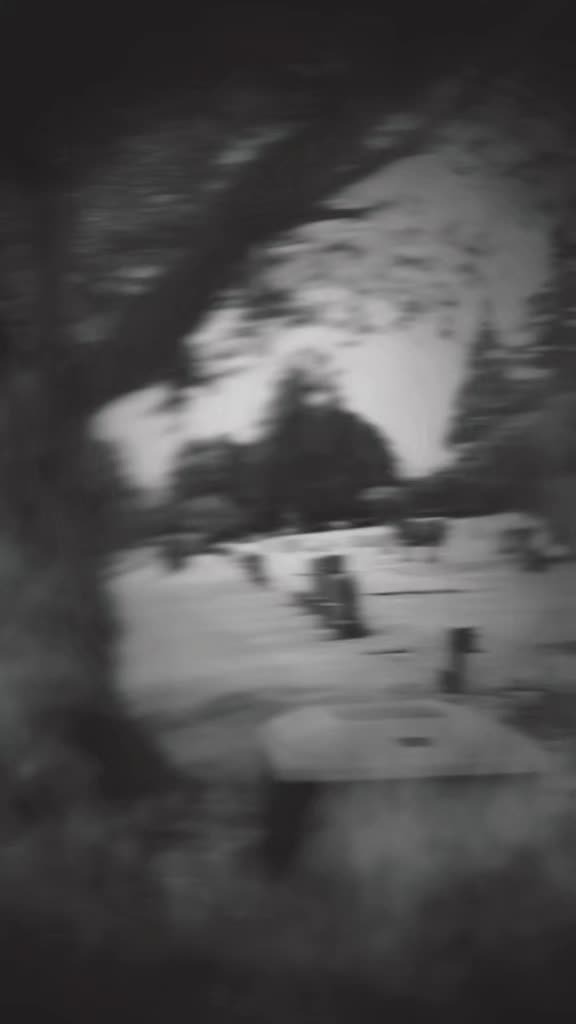 @DarkWonderland