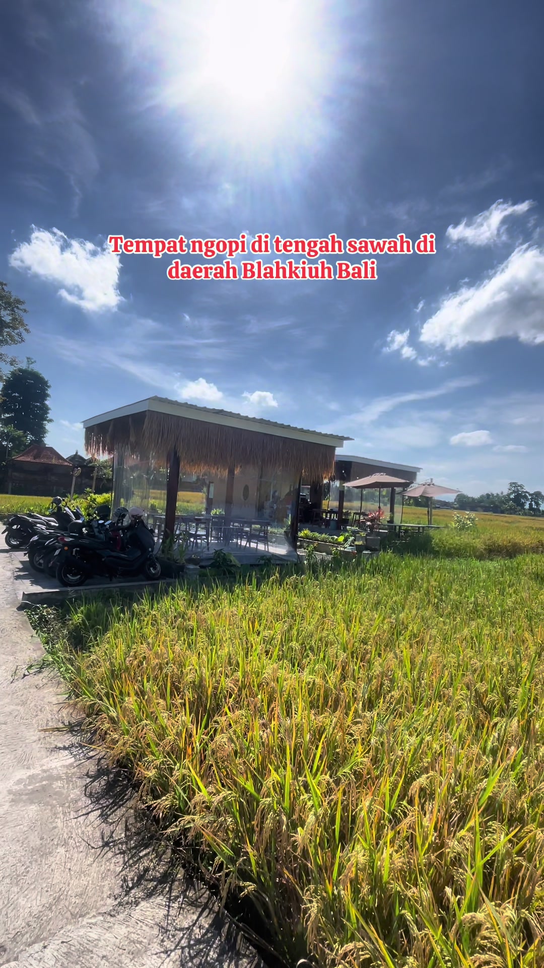 @Balinese Info