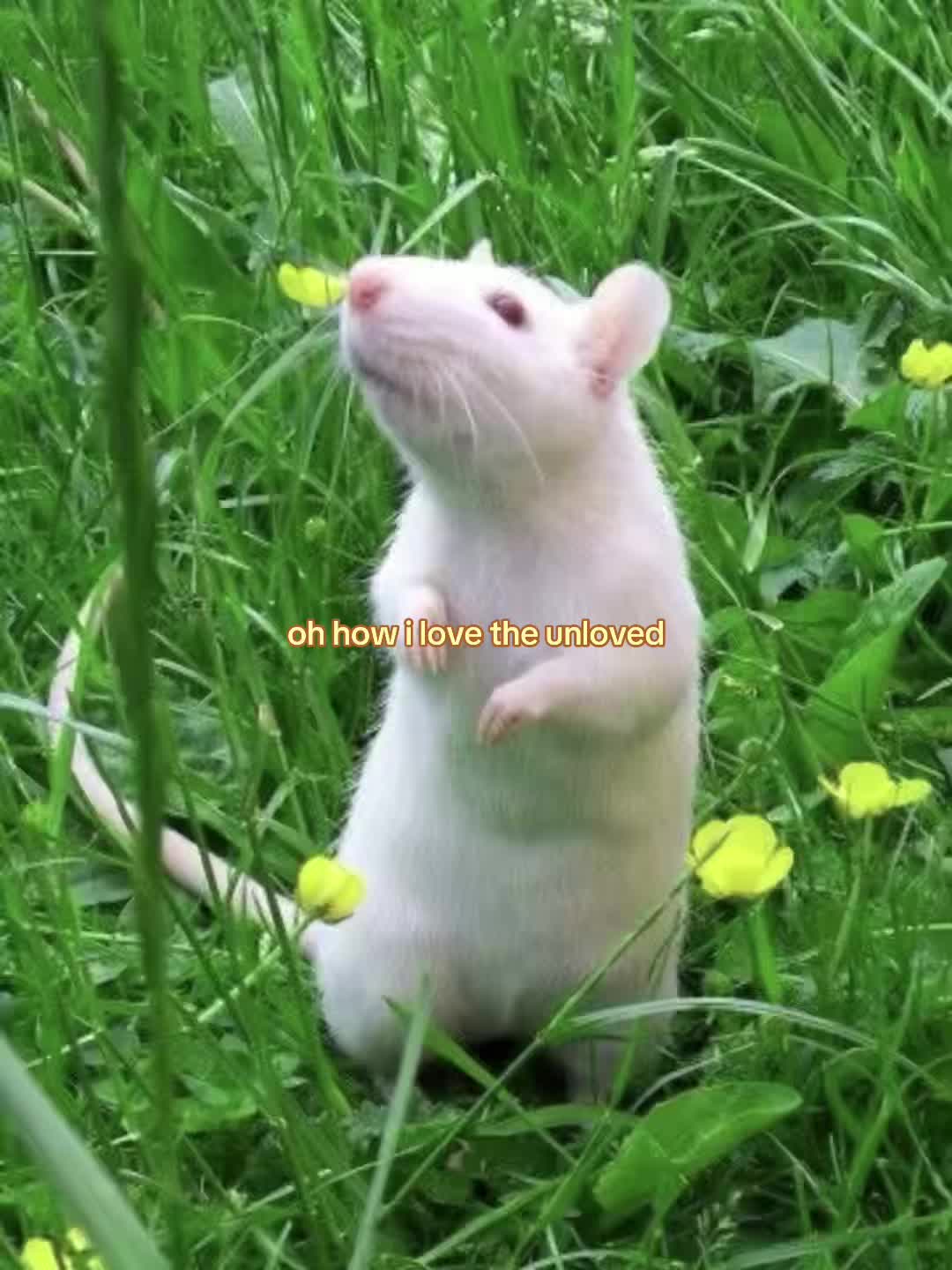 @moodboardnor