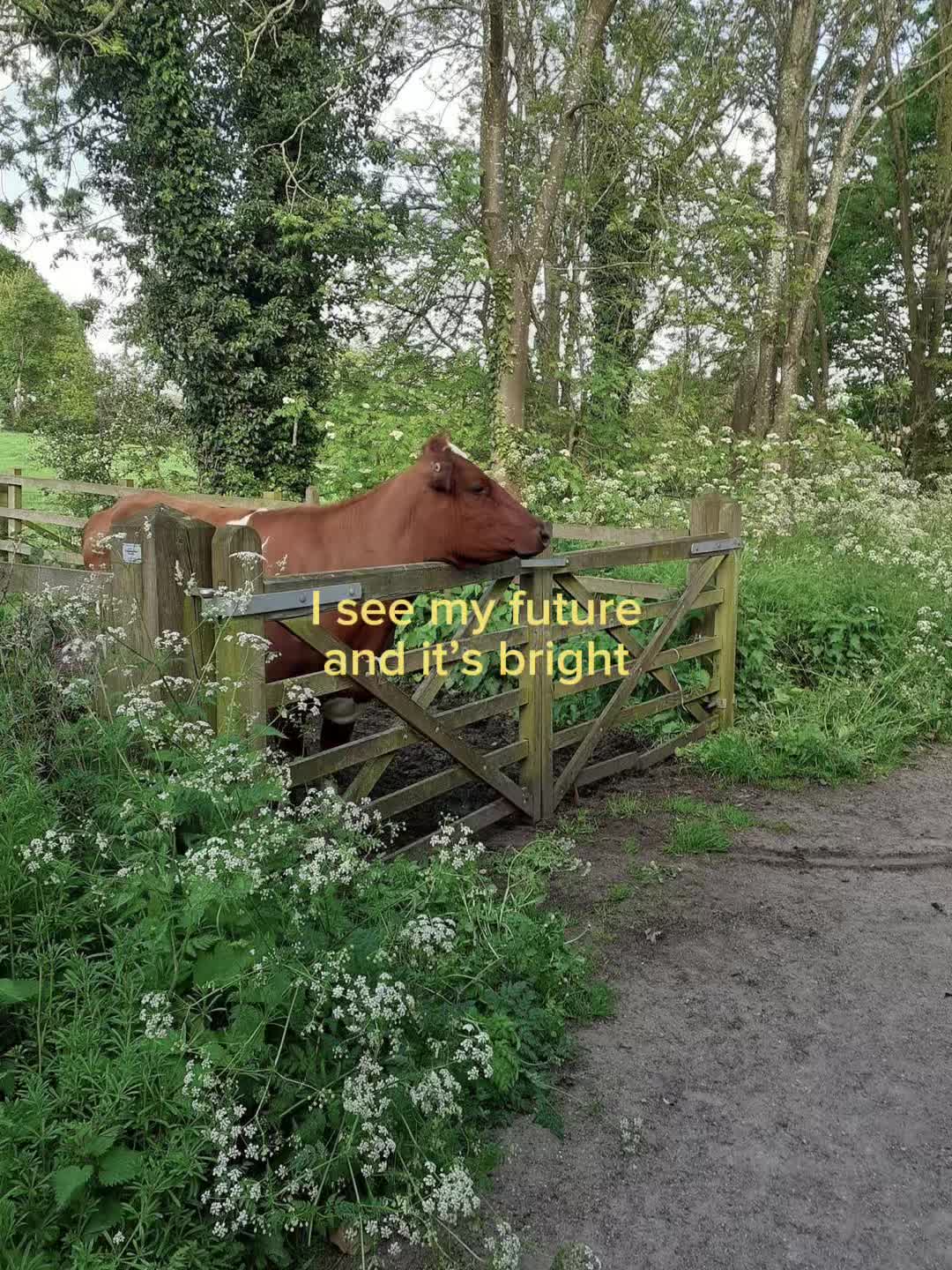 @𝘯𝘢𝘰𝘮𝘪 𓂃˖˳༺