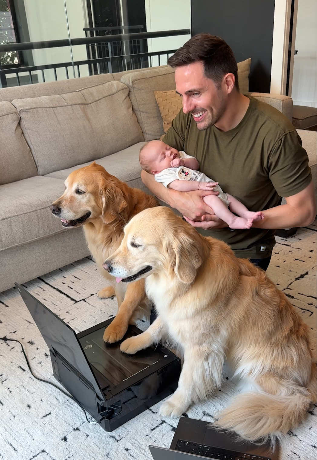 @Golden Retriever Life