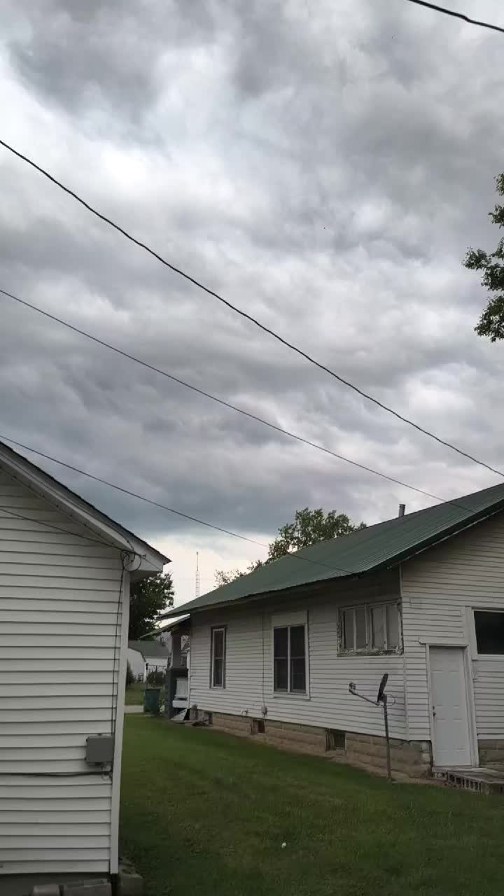 @GrammieBear52