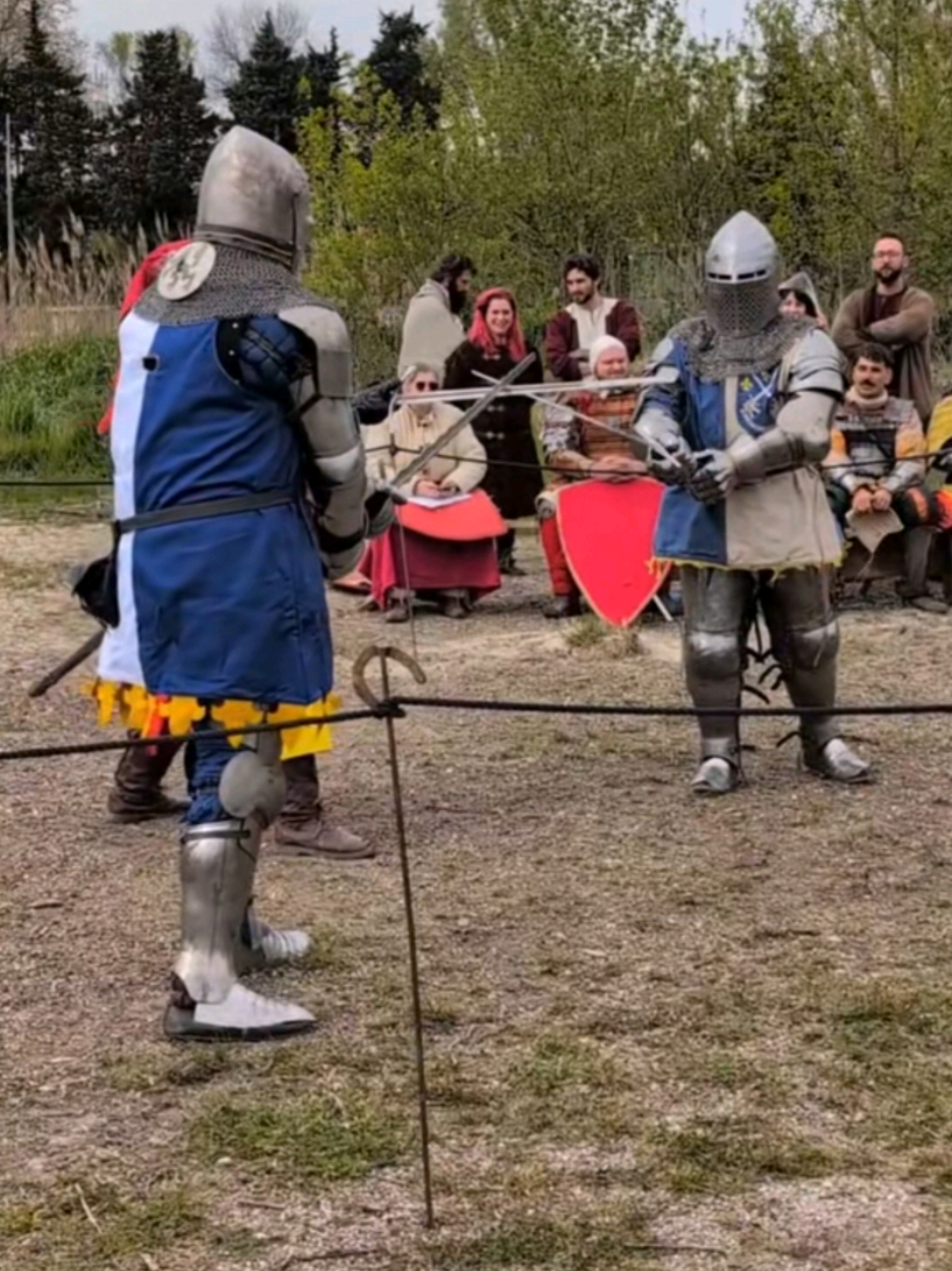 @le norv&eacute;gien aigris