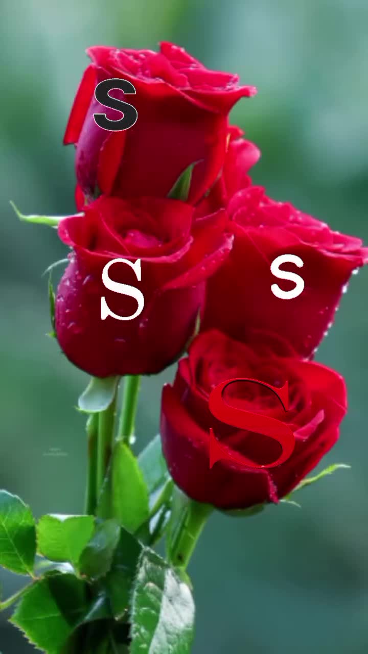 @Dj.Sohel🇮🇹🫶🇪🇺🤲🇧🇩