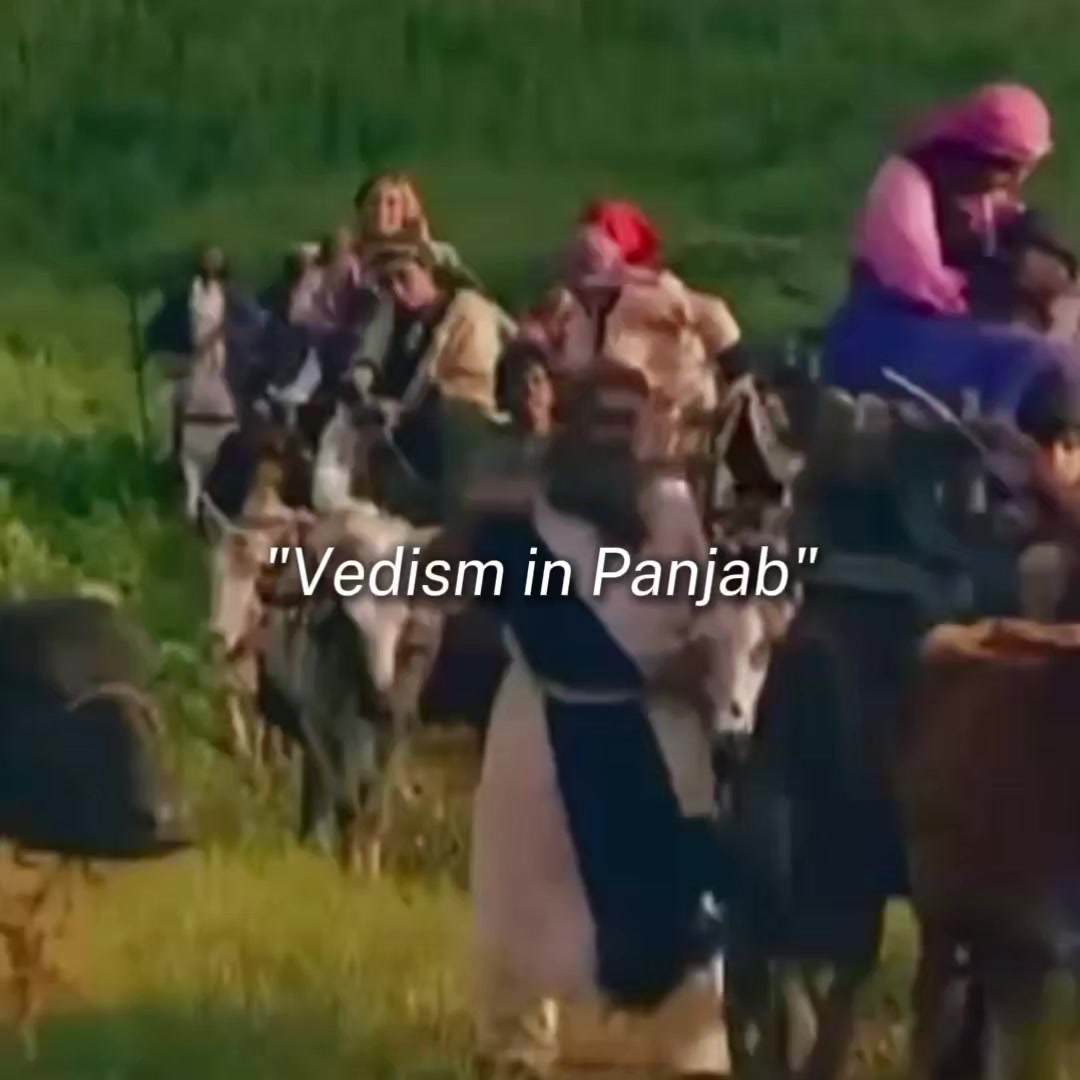 @panjabiranjha