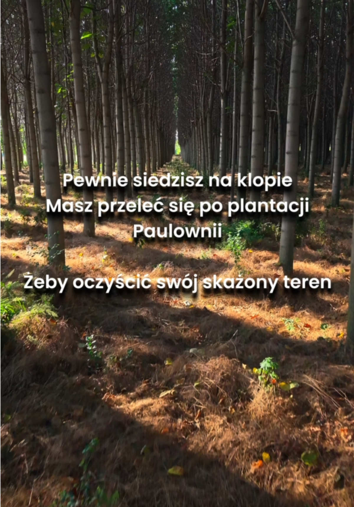 @greenlungspoland