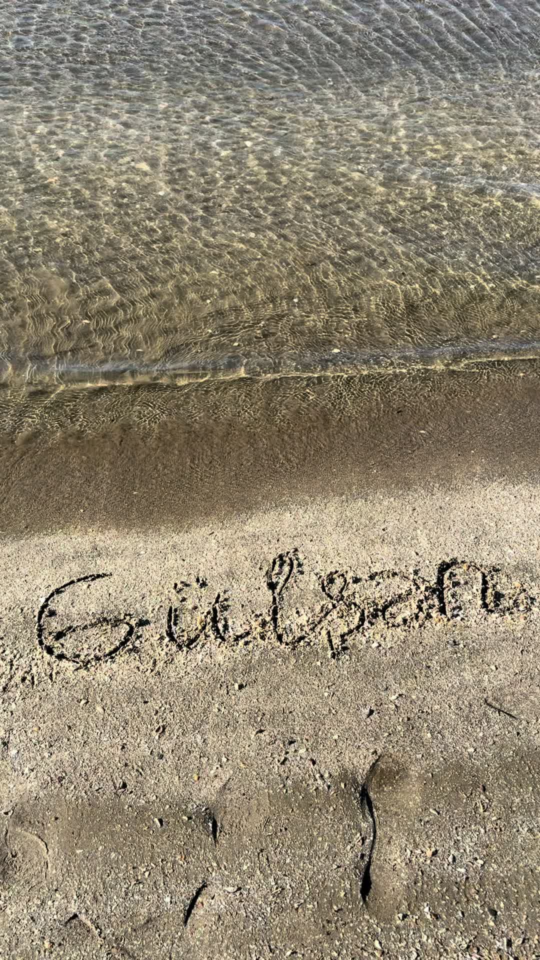 @🌸Gülşən Müəllim🌸
