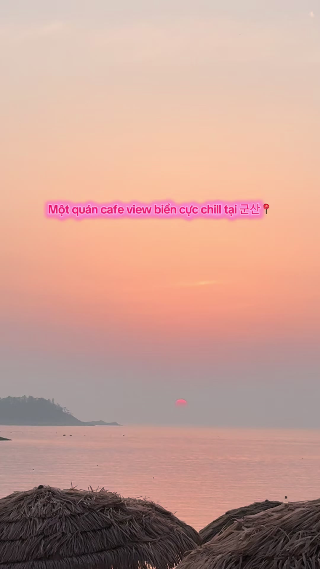 @⋆. 𐙚 ˚ Thương ༘⋆🌷🫧💭₊˚ෆ