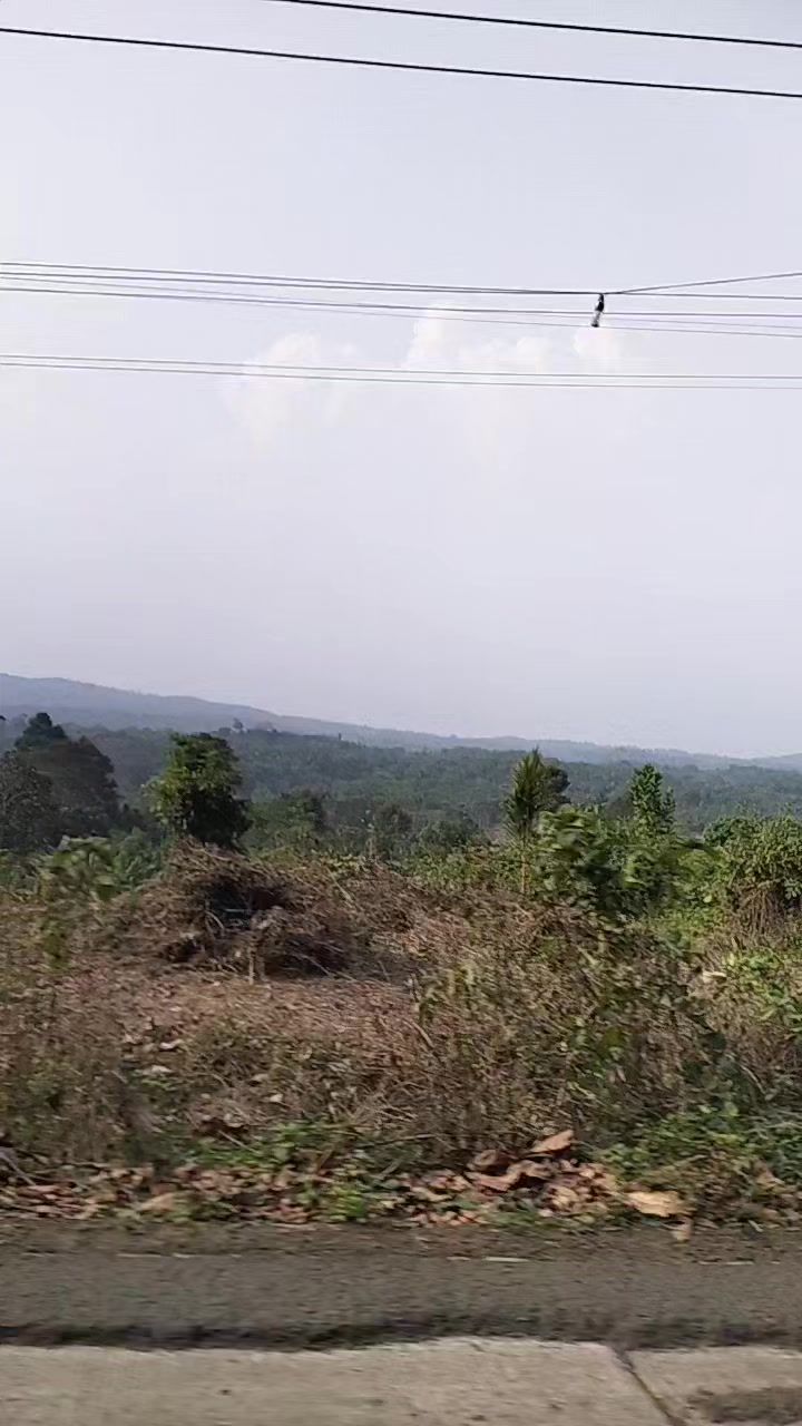 @toko indahye