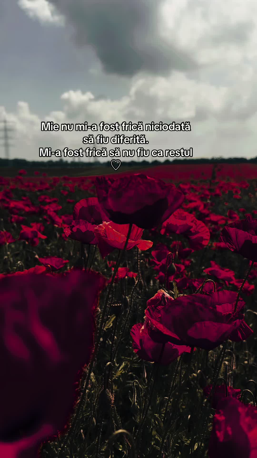 @Alina