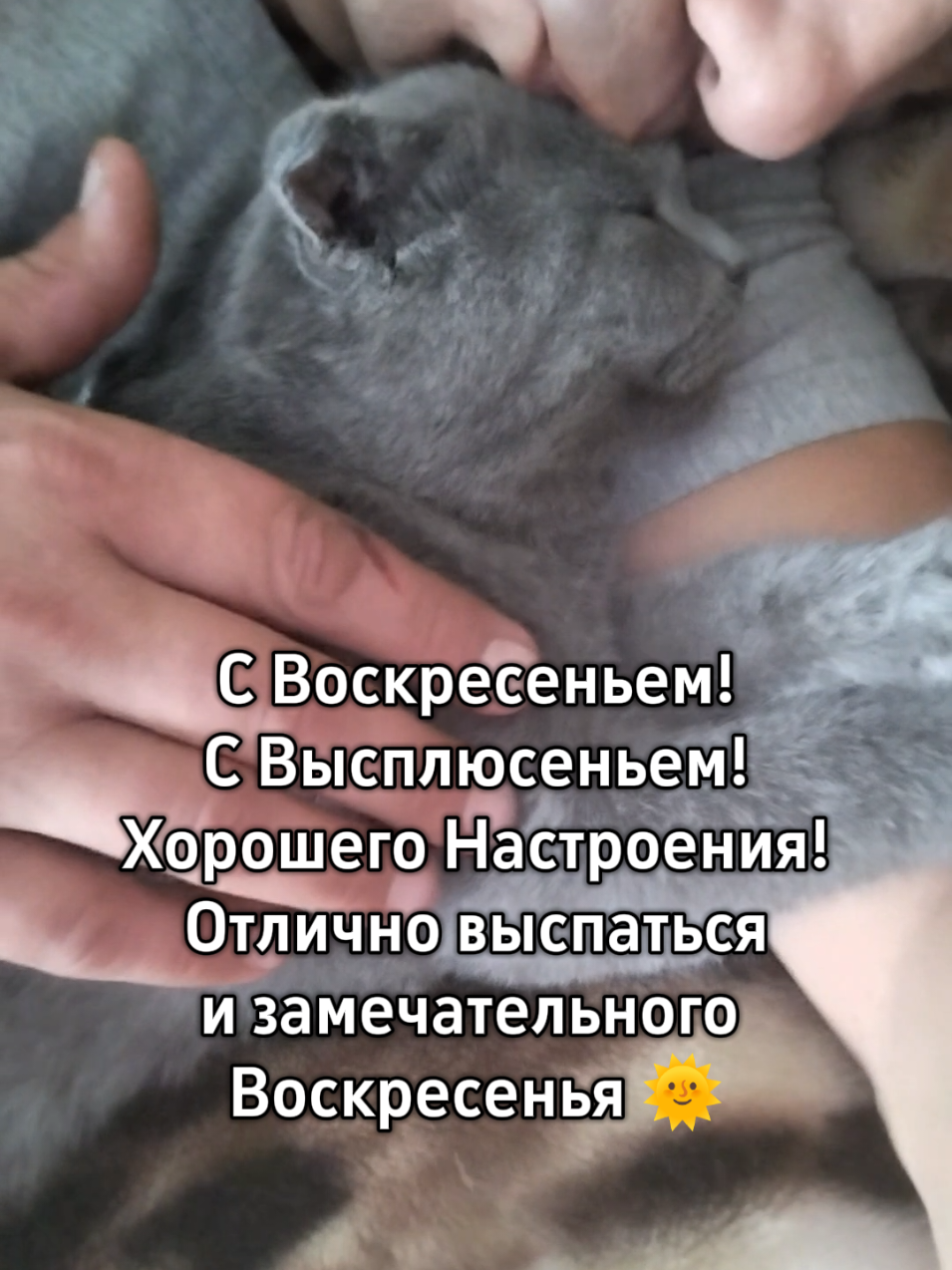 @😻Риччи&Джесси🐈Масик👼&Андрей