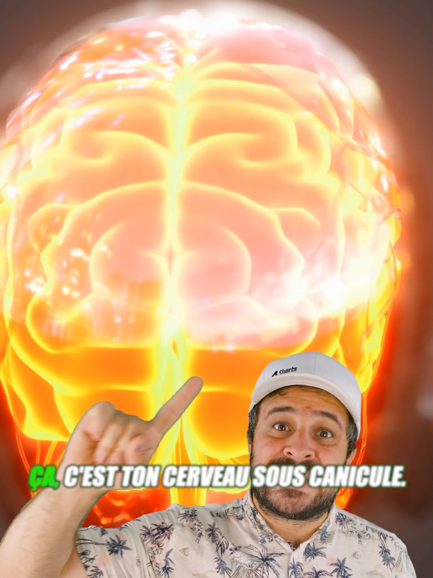 @Vico-Le Savais tu ?