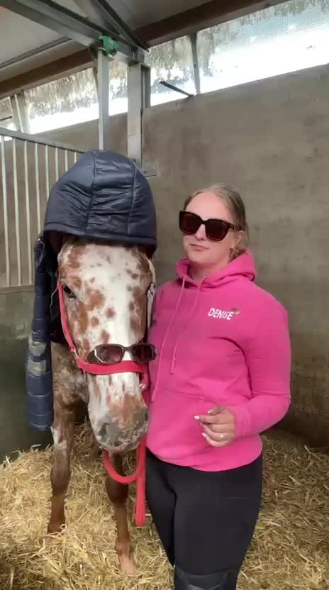 @manegeprinsenbankhoeve