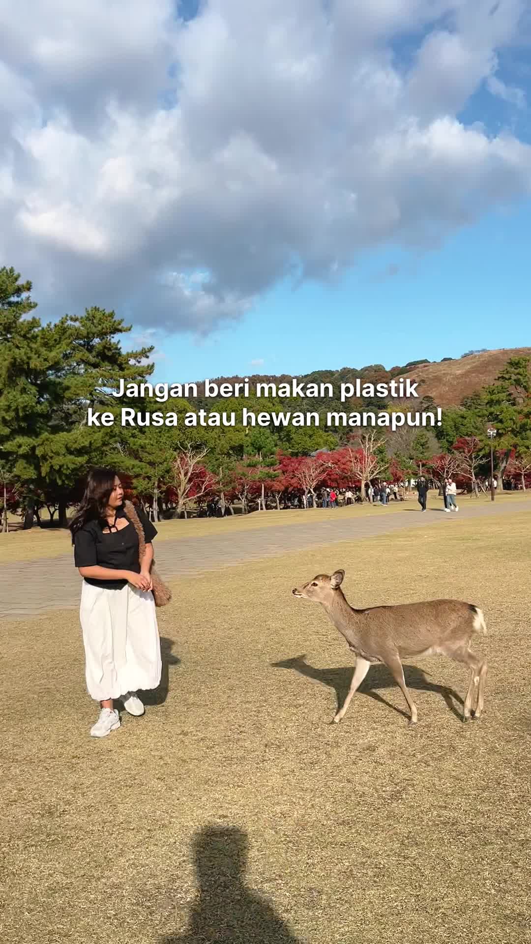 @Sowan Suwun