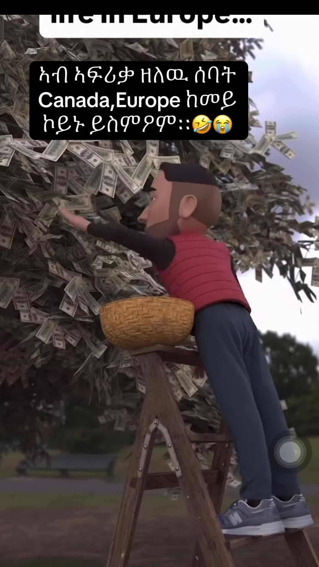 @Model _Odi_ Dc ๐๐ช๐ท