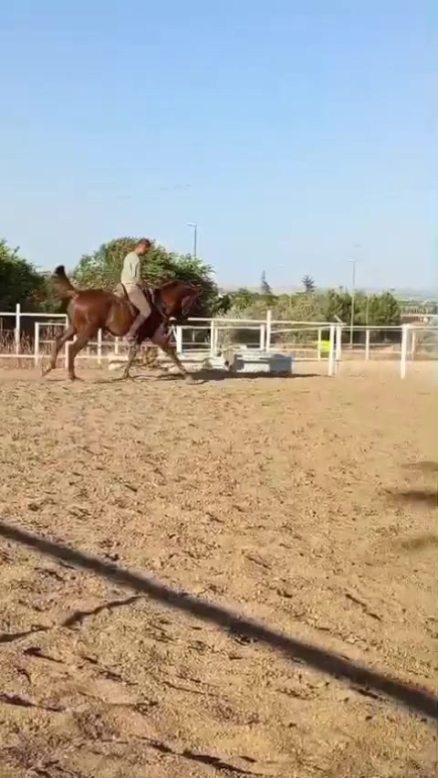 @AdrianS_M10