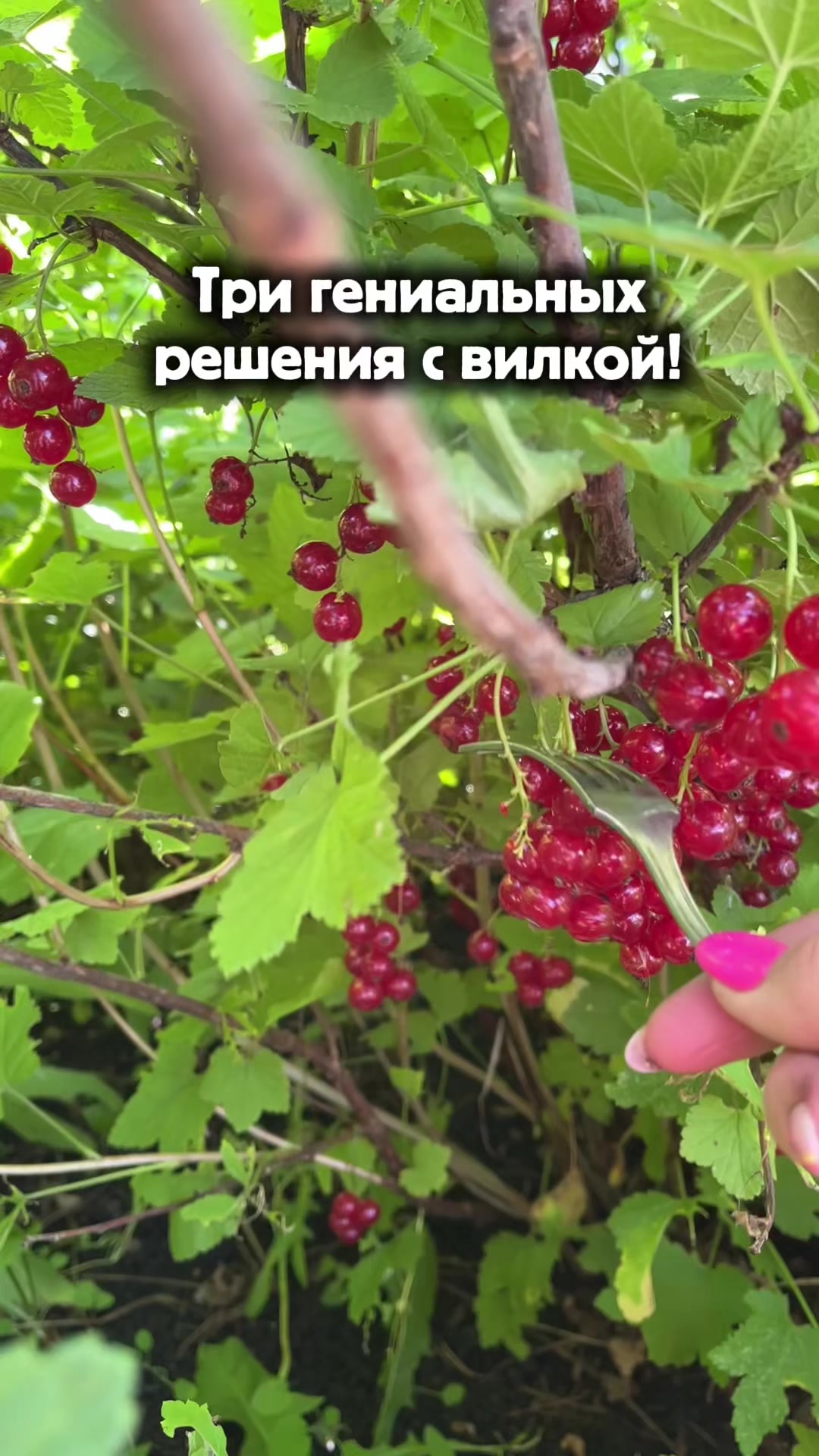 @Она знает