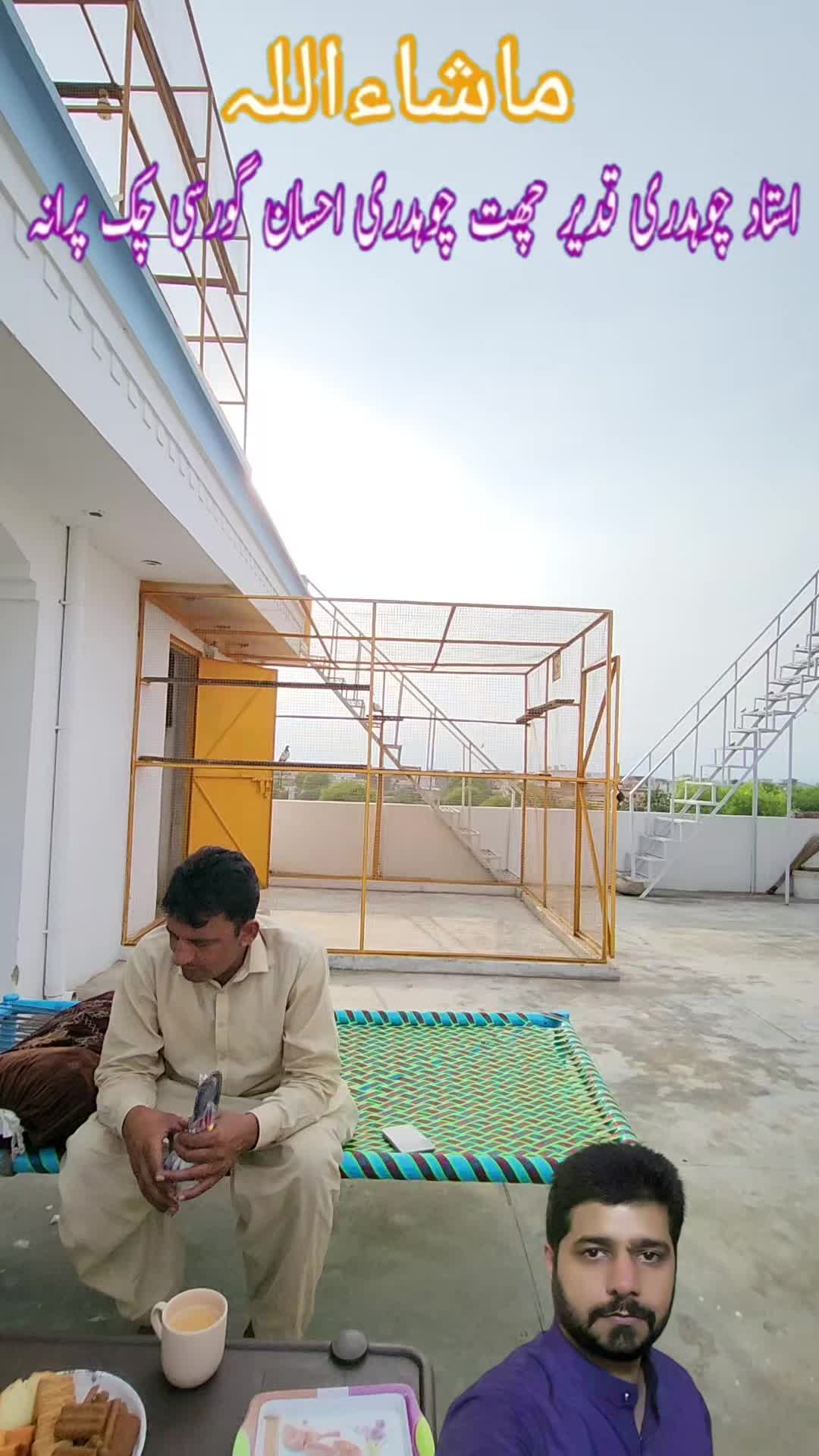 @amrakalan5