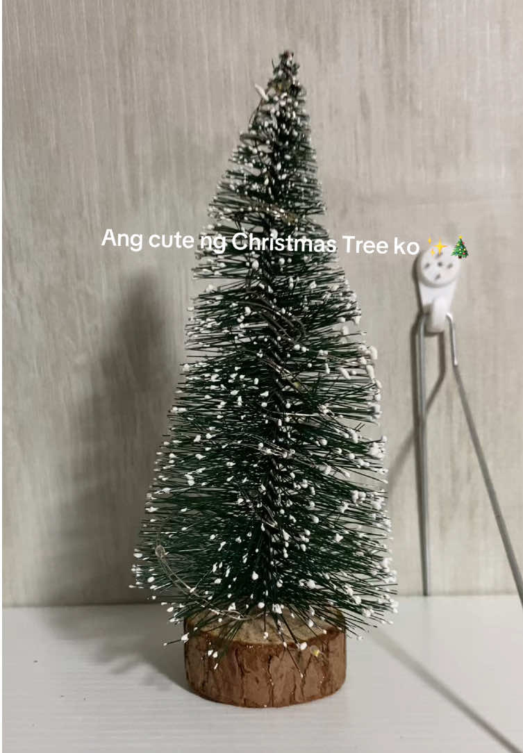 @โ. ๐ห๐ฎ๐ฝ๐ถ๐๐พโฏ๐๐หโ