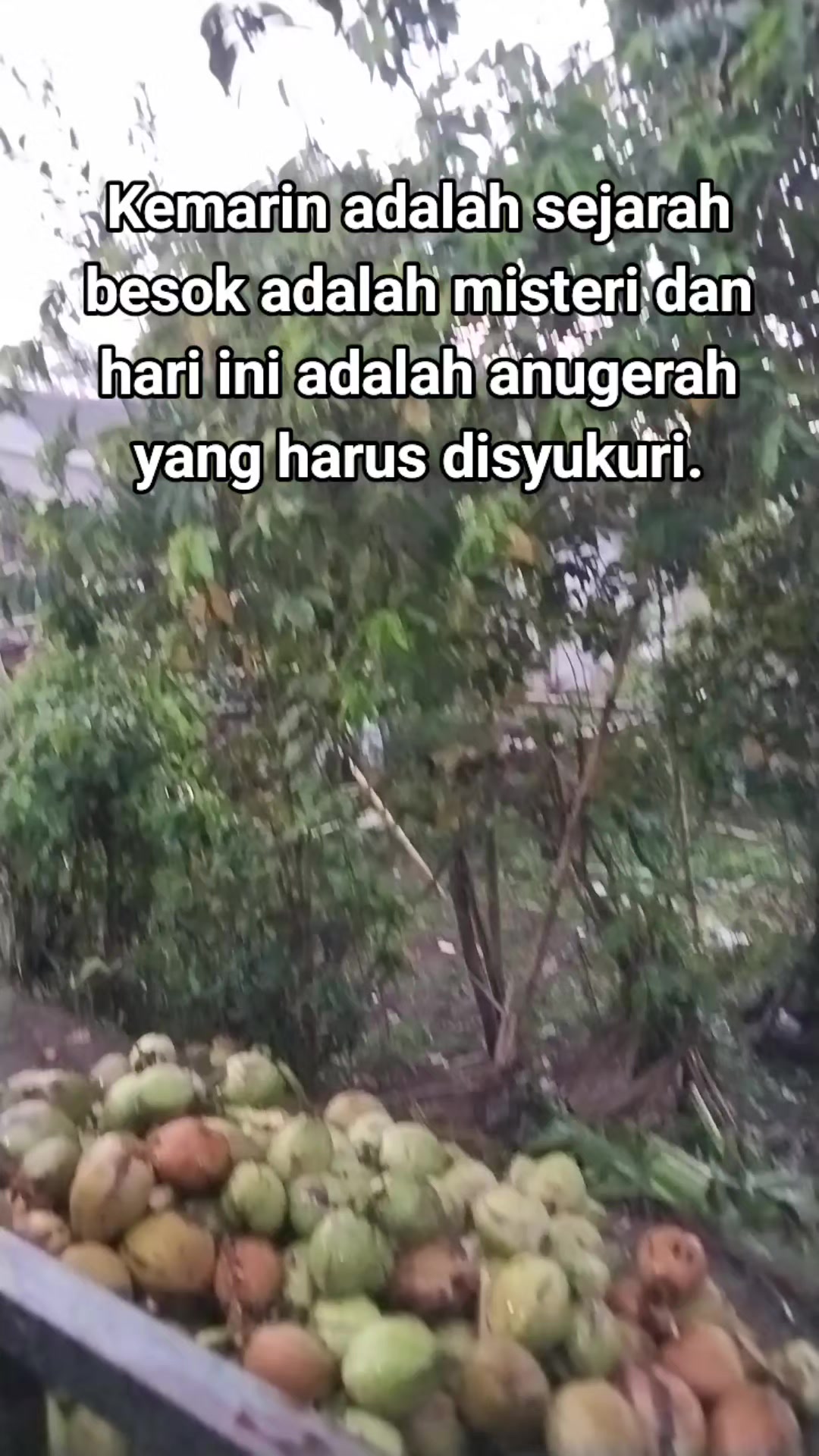 @@BANGKIT_MANDIRI01