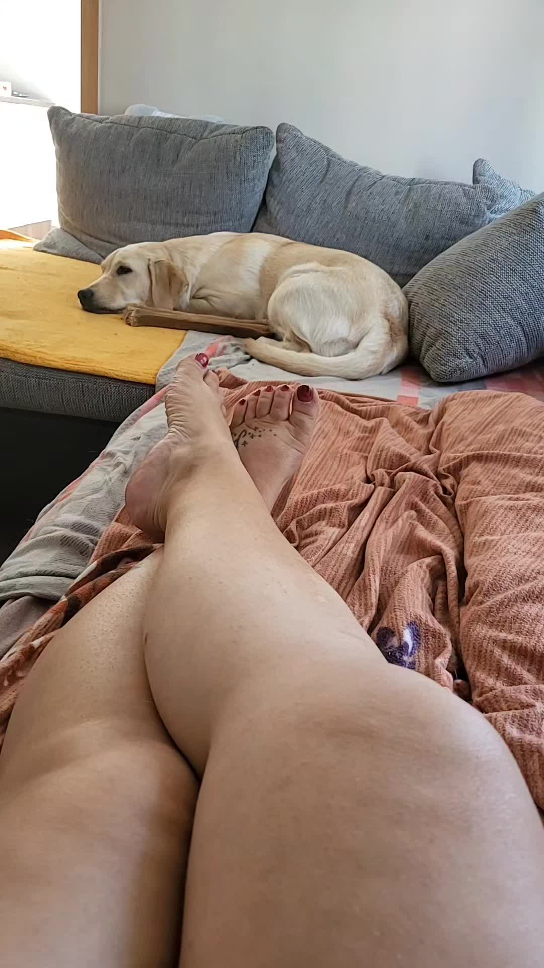 @FrauKa ᵀᵉᵃᵐ ᴱᶠⁱ💕,🦊