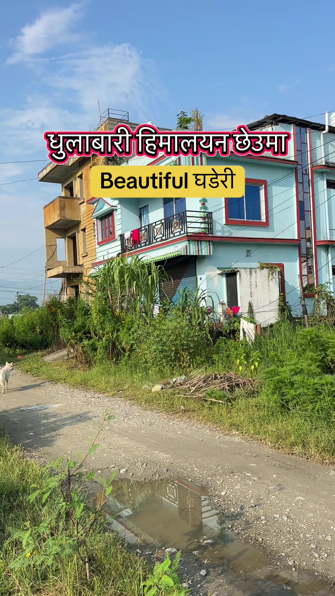 @Maikal ghar jagga