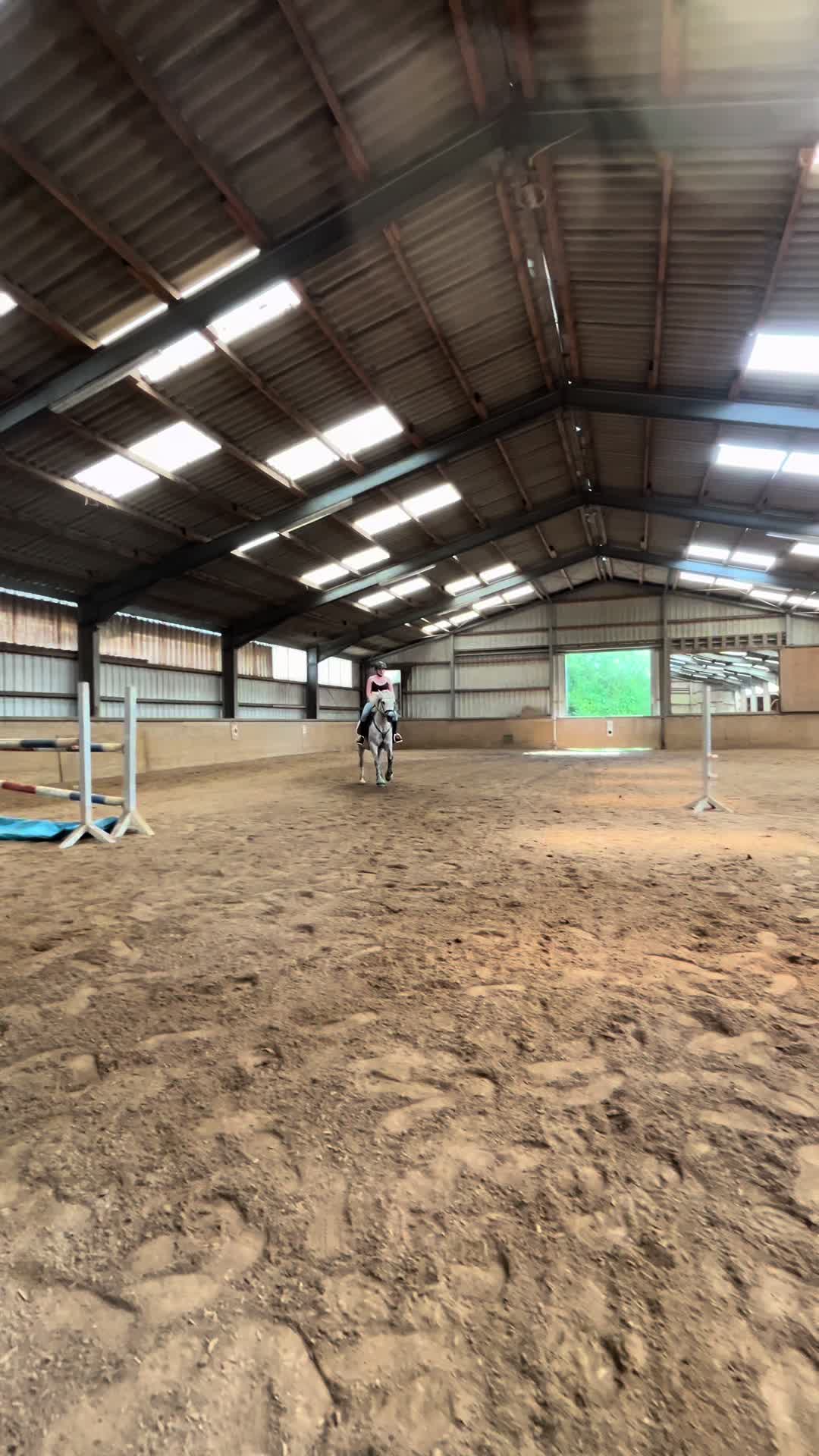 @sunny_the_pony20