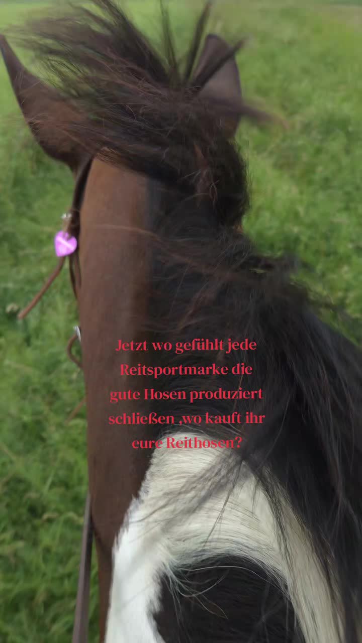@Herzenspferdanuuk