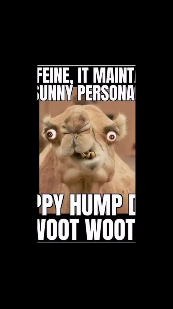 @Moni Love
