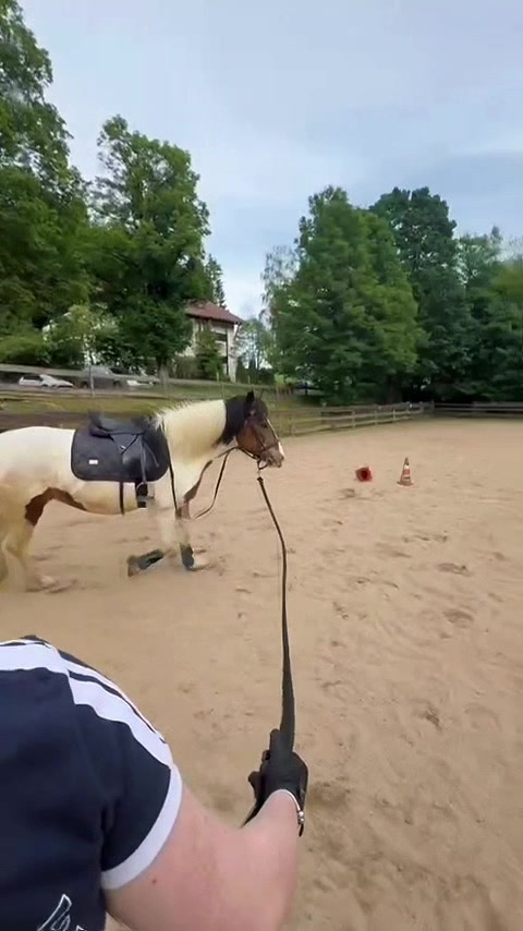 @𝘍𝘪𝘯𝘫𝘢 🪐