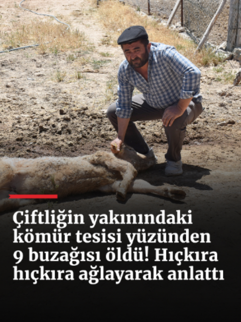 @haberlercom