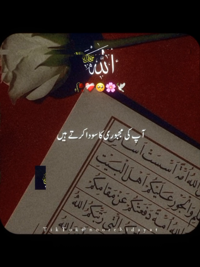 @Noor-e-Hidayat
