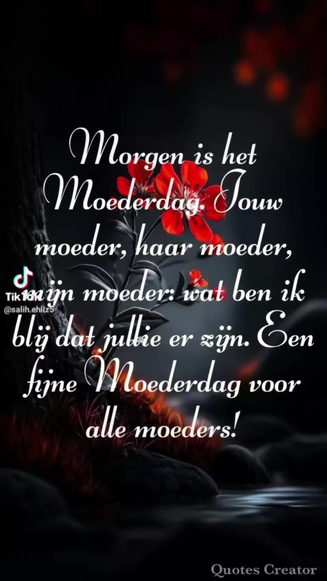 @Rosita Kalloe576