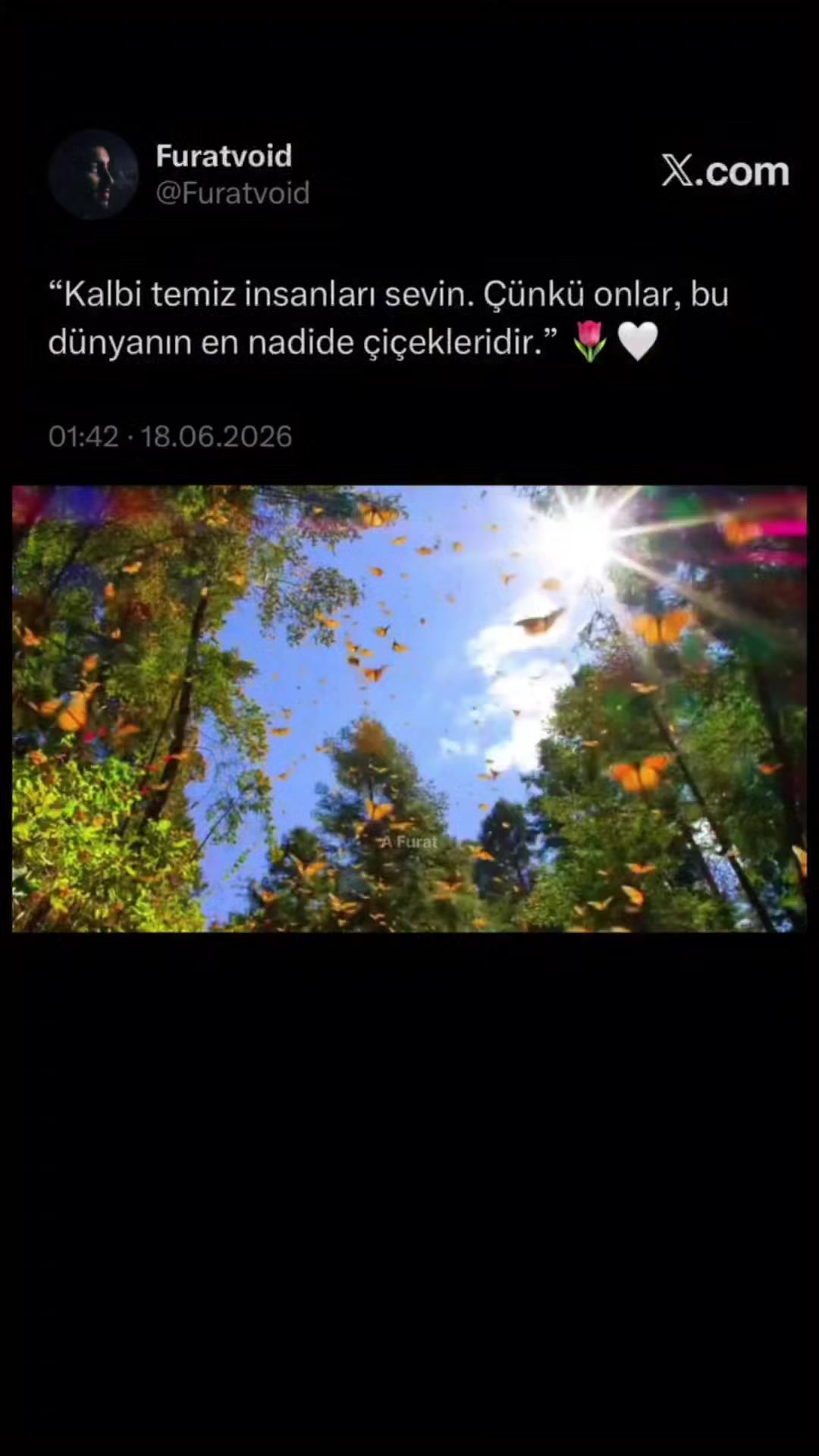 @Mommy.ofSema ❤️🩵Səma & Səid