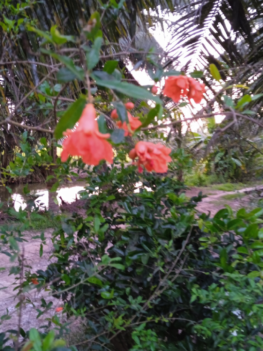 @Nguyễn Văn Hiền