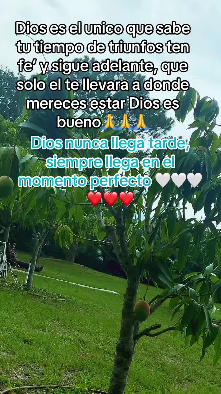 @⚜️Marcelino Diaz🫶🍃🍃🌖🇲🇽