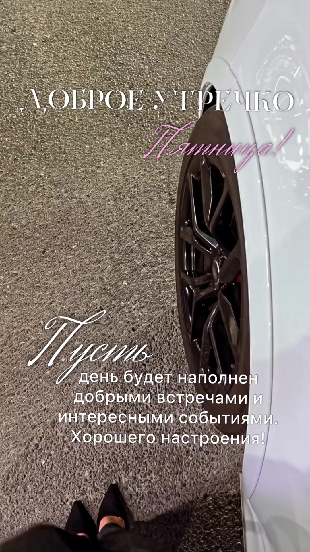 @☆꧁✬◦.𝒱.𝒮𝒽 .✬꧂☆