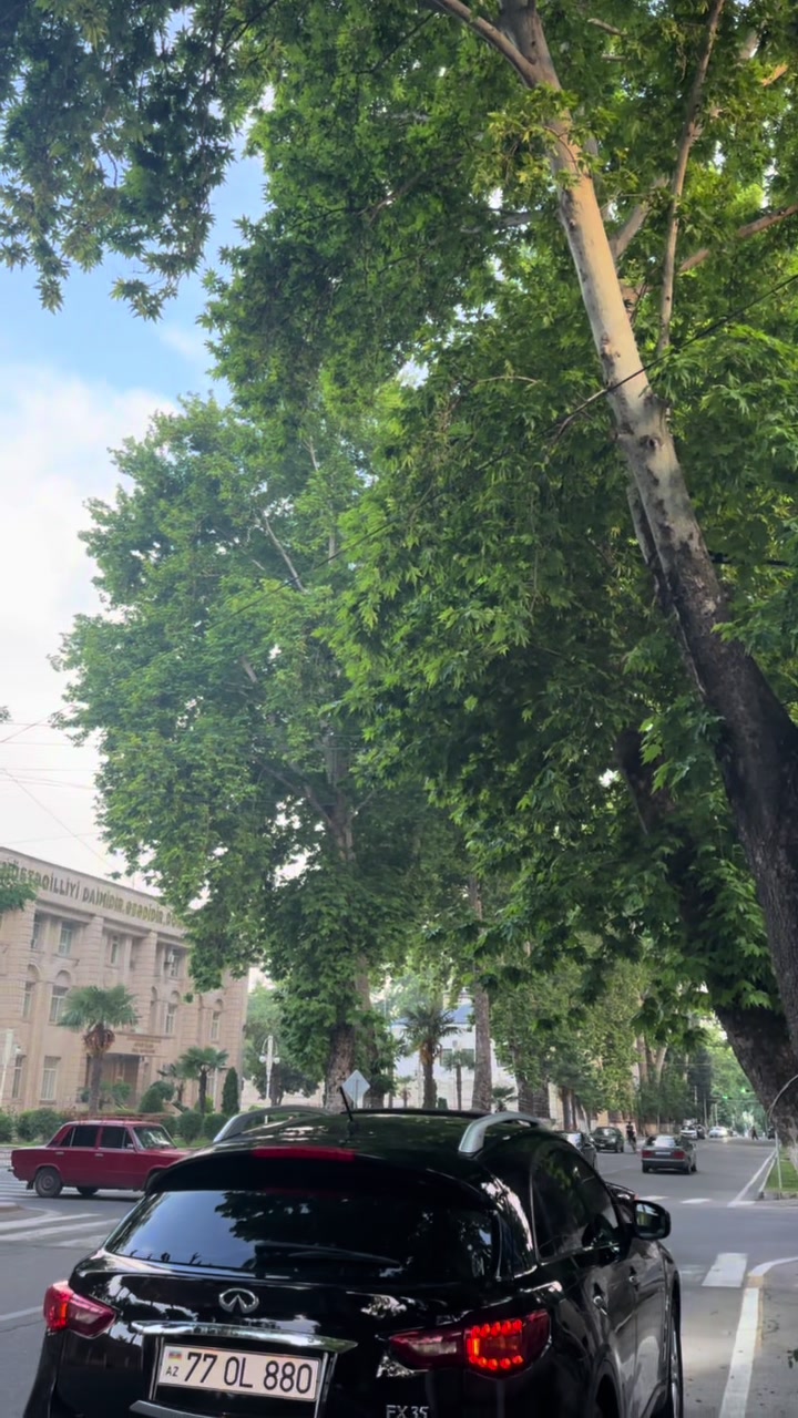 @Həmidov Nizami