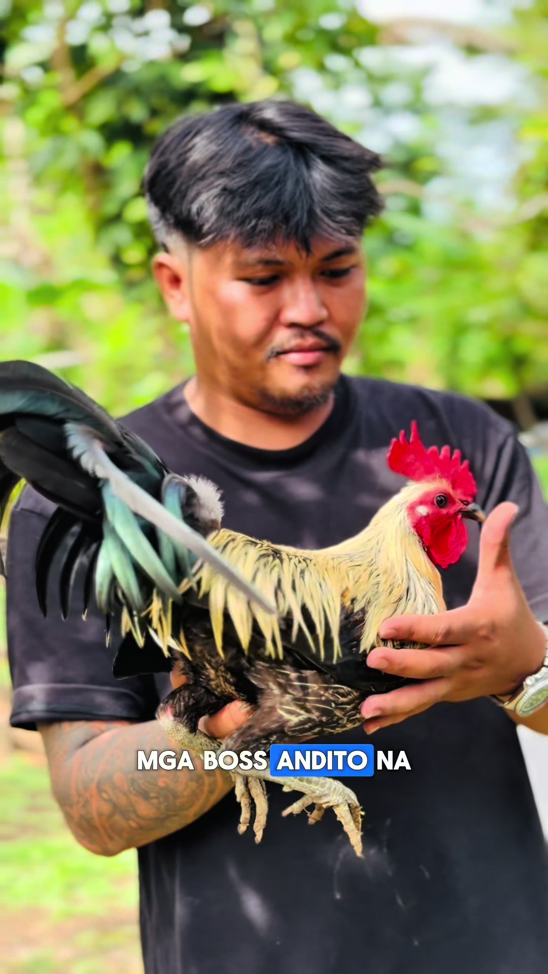 @Superline Gamefarm