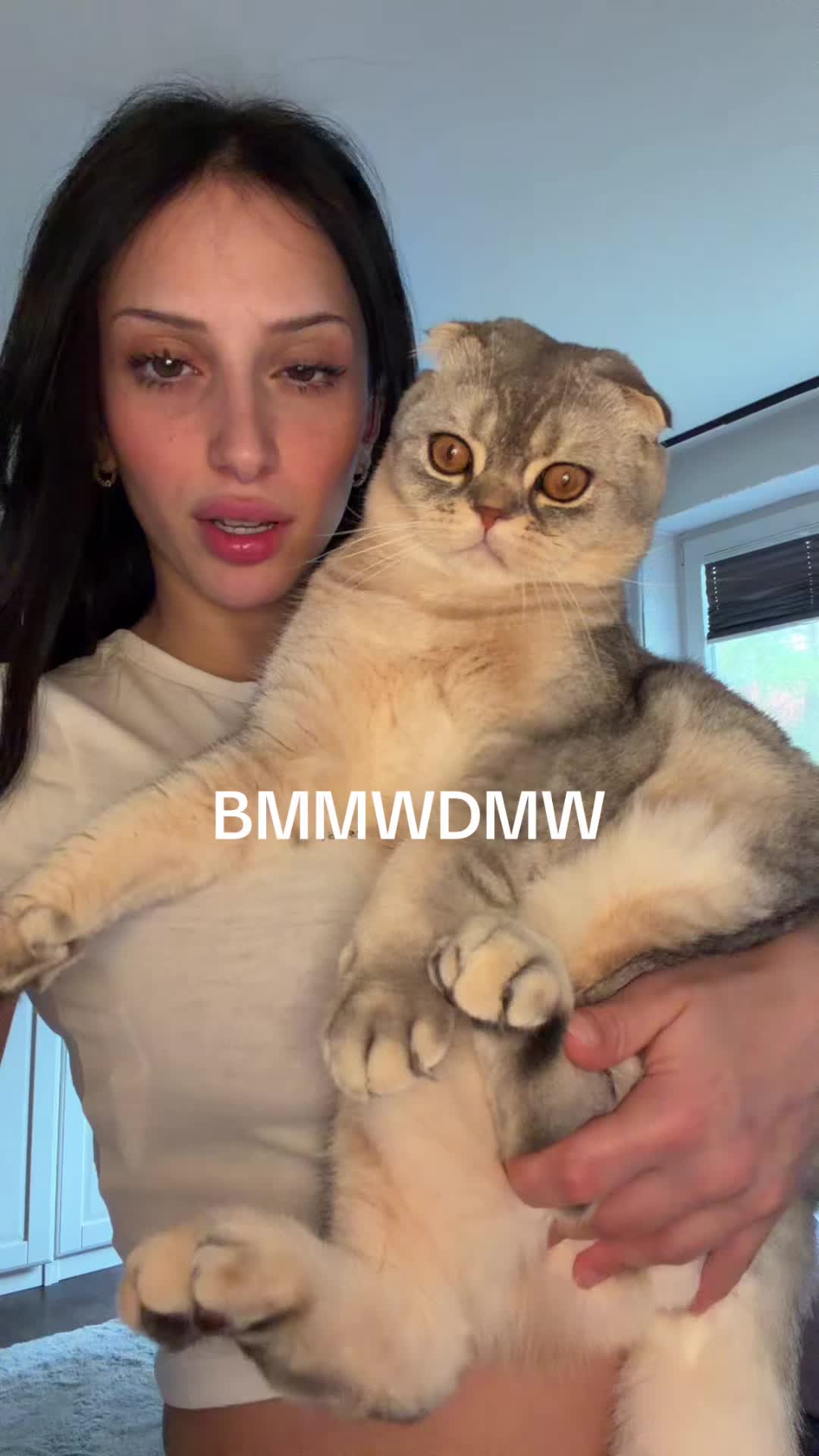 @nazlitov