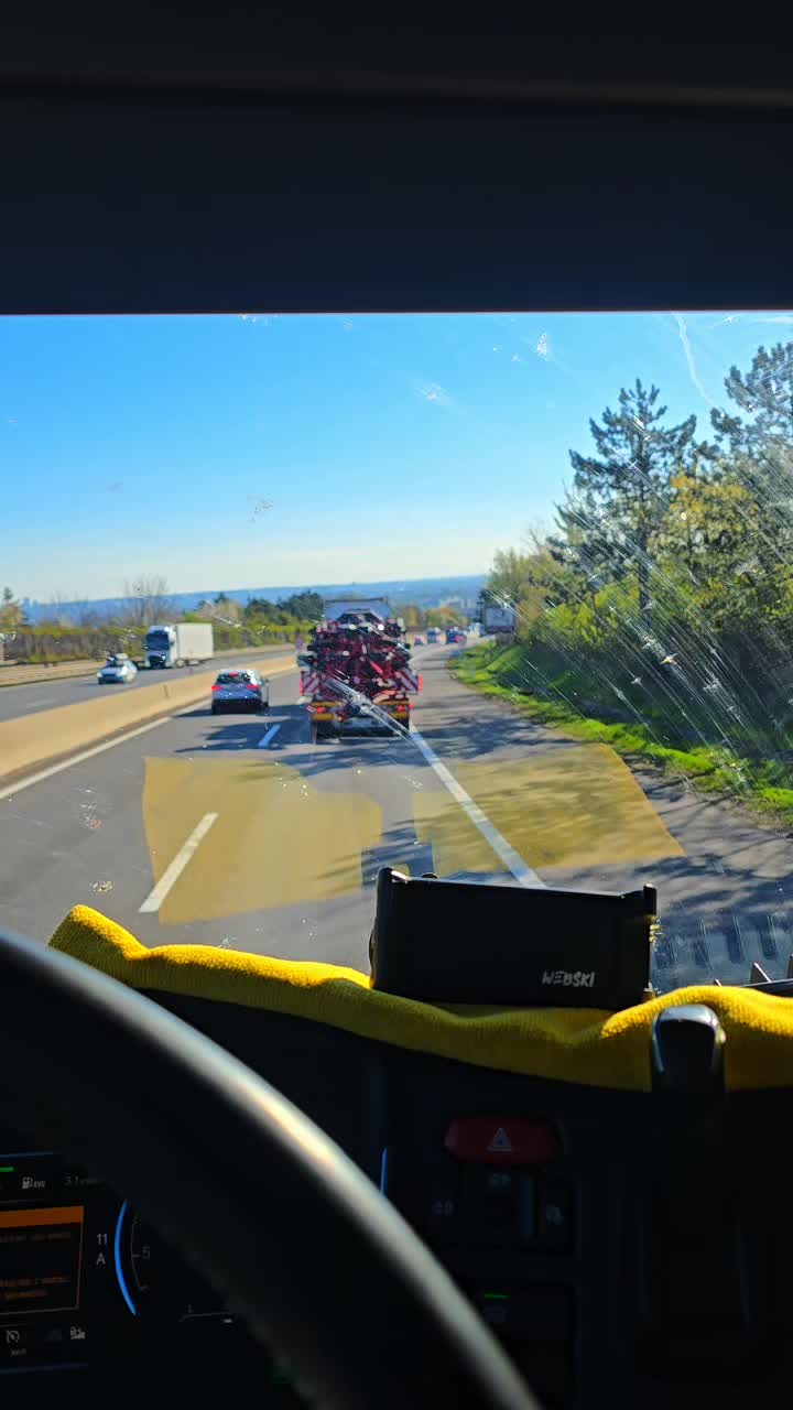@Piotrek Animals_Express🐝