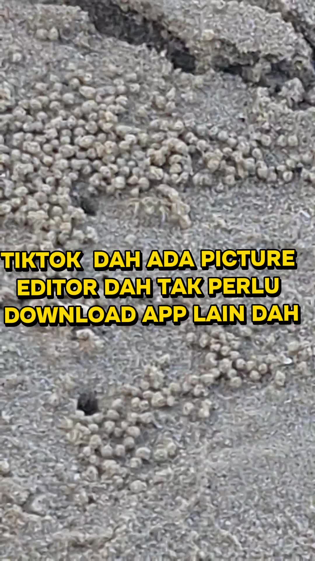 @TERAPI IMUN SEMULAJADI
