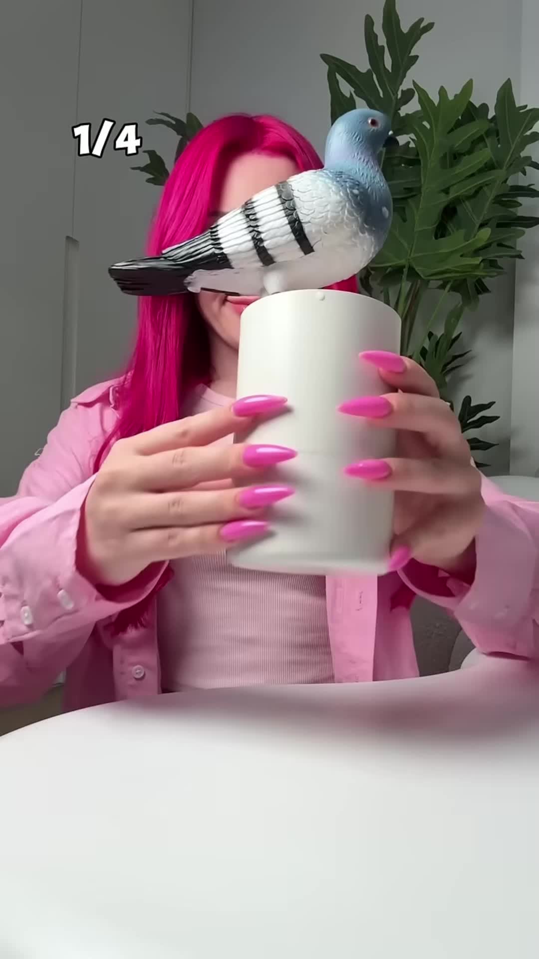@laencrrbifp