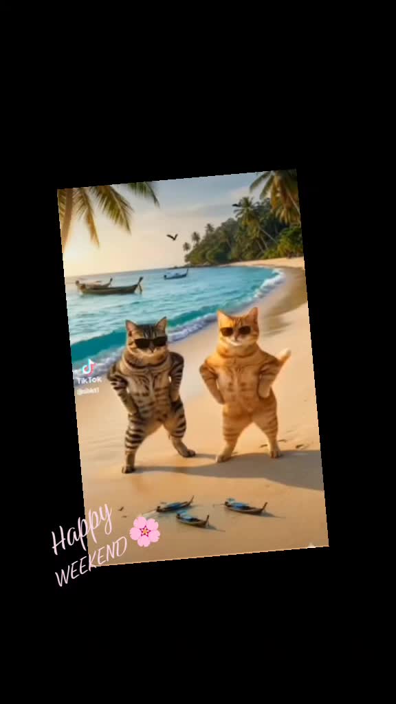 @😂one more