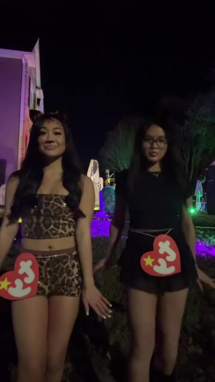 @hamyspamys