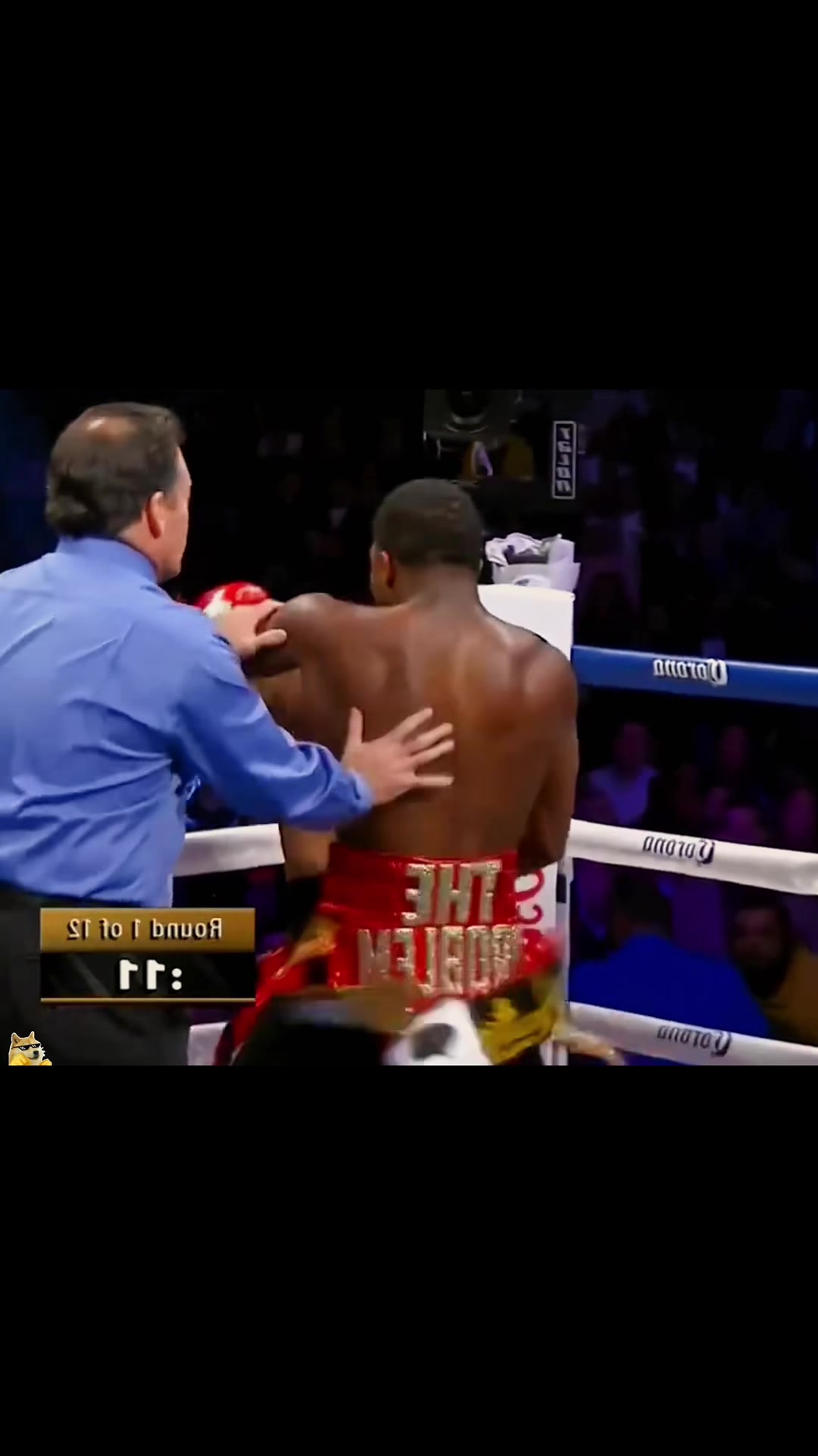 @boxingcat1