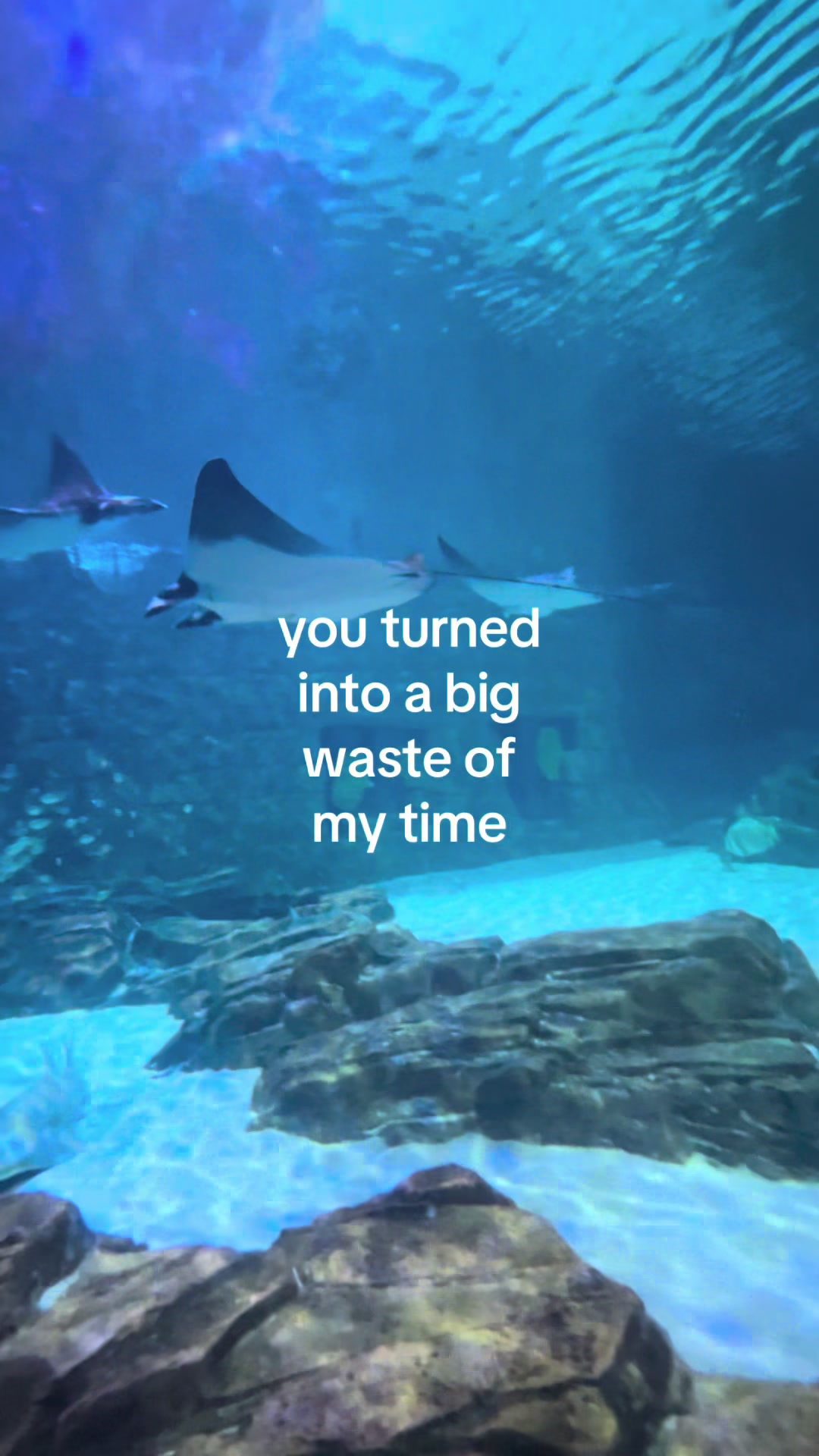 @𝒶.